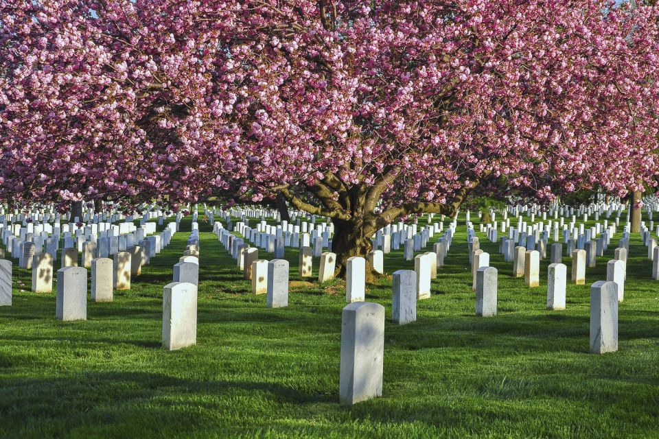 Arlington Cemetery Walk with National Mall Night Bus Tour - Who This Tour Suits Best