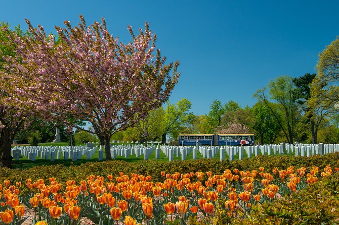 Arlington National Cemetery Hop-On Hop-Off Tour - Tomb of the Unknown Soldier and Memorial Amphitheater: plan for the moment