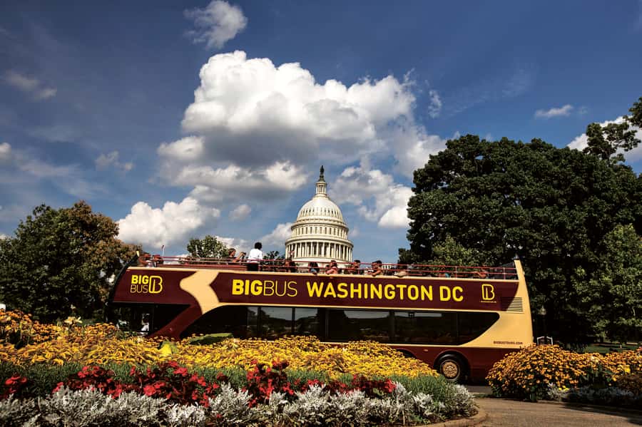 Best of DC: Hop-on Hop-off Bus Tour & Night Tour (Save 40%) - Why This DC Combo Works: Day Hop-On Freedom Plus Night Monuments