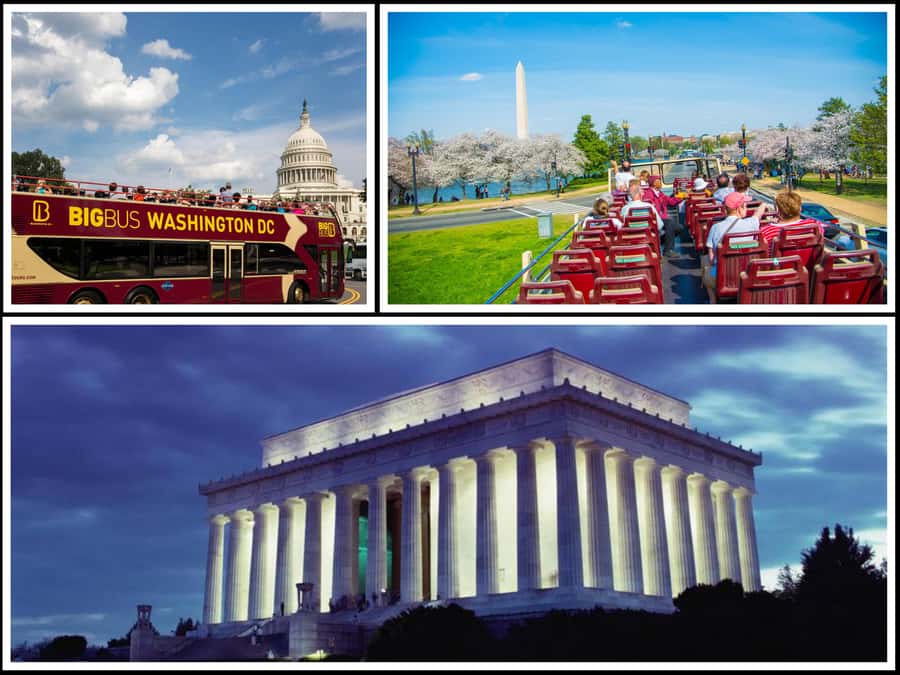 Best of DC: Hop-on Hop-off Bus Tour & Night Tour (Save 40%) - Major Landmarks Beyond the Mall: White House, Capitol, and More