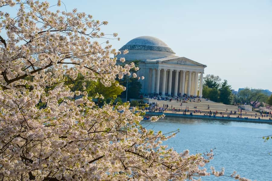 Best of DC: Hop-on Hop-off Bus Tour & Night Tour (Save 40%) - Practical Tips and Small Gotchas (So Your Day Runs Smooth)
