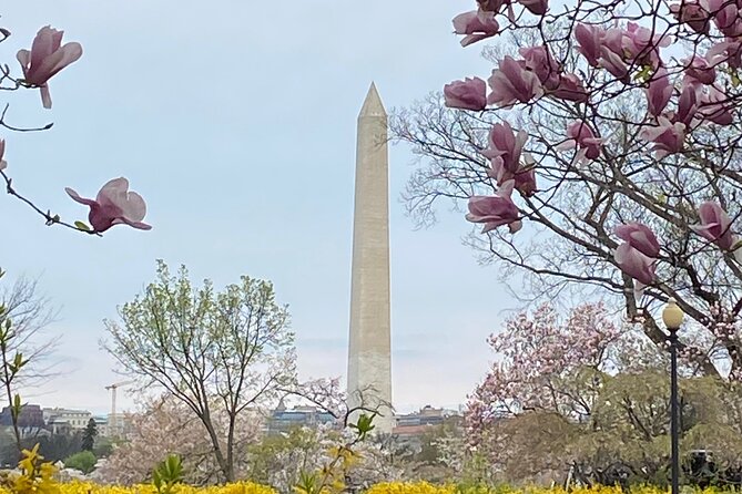Beyond the Closet Walking Tour - Stop 1: Lafayette Square and the fight for visibility