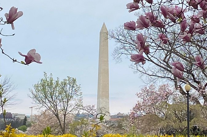 Beyond the Closet Walking Tour - Stop 3: Dupont Circle, a bookstore, and Pride’s roots
