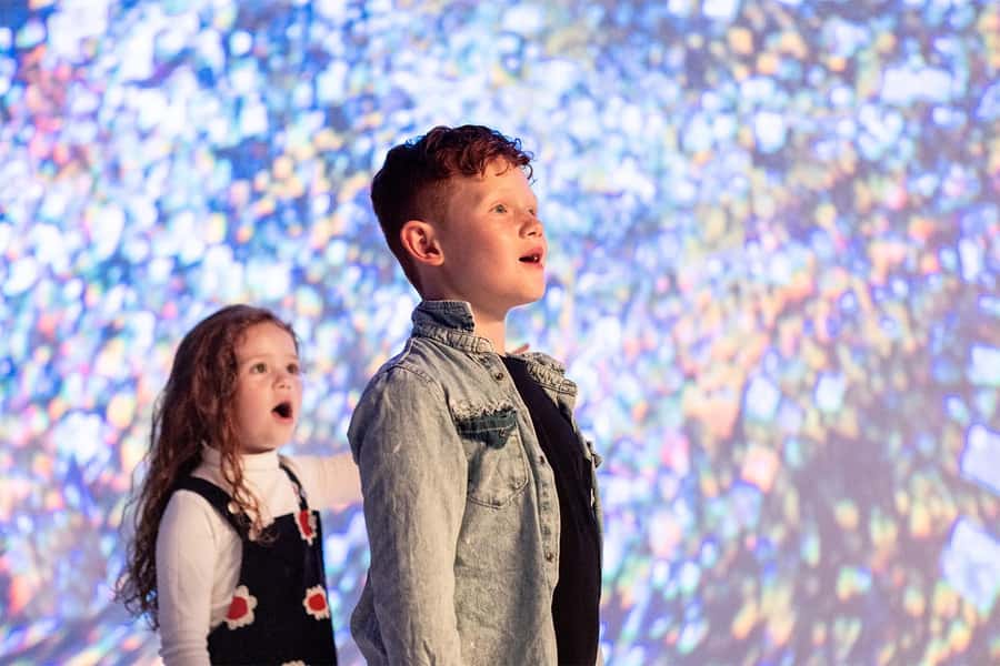 DC: All Creation Sings- Museum of the Bible Exhibition Entry - Quick Key Points Worth Knowing