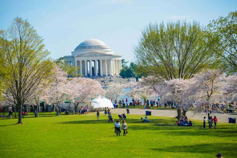DC: Hop-on Hop-off Tour by Open-top Bus with 17 Stops - Key highlights you will actually use