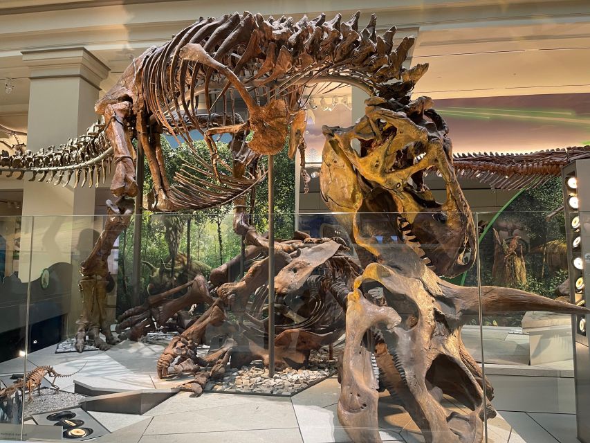 DC: Smithsonian Highlights Walking Tour with Air and Space - Natural History stop: dinosaur fossils and the cursed diamond