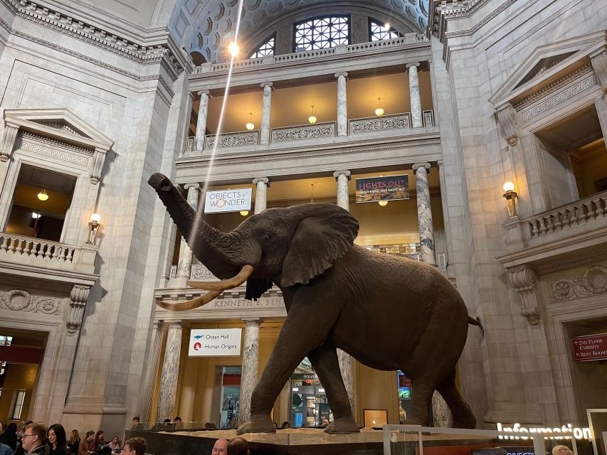 DC: Smithsonian Highlights Walking Tour with Air and Space - What it’s like with security and a rain-or-shine schedule