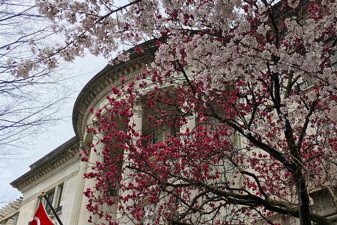 Dupont Circle and Embassy Row Architectural Walking Tour - “From Mansion to Embassy”: The Turkey Stop Worth Watching For