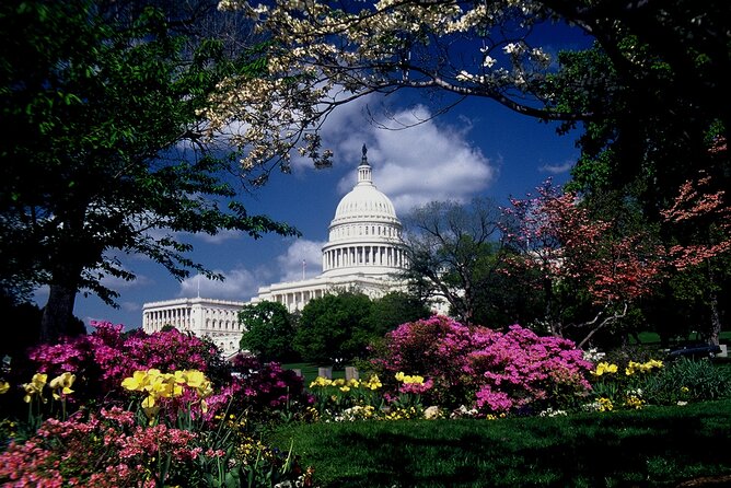 Guided Capitol Hill with US Capitol and Library of Congress Entry - Quick Passes Around Capitol Hill: Supreme Court, Peace Monument, and Grant’s Statue