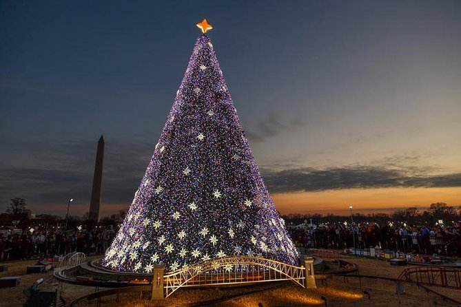 Holiday Lights Tour of Washington DC and Old Town Alexandria - CityCenterDC Christmas Tree: downtown sparkle without a long hike