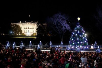 Holiday Lights Tour of Washington DC and Old Town Alexandria - National Christmas Tree and the Pathway of Peace