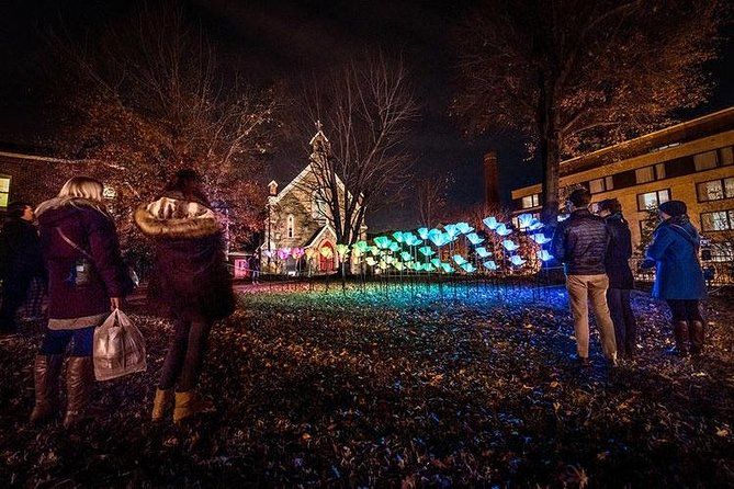 Holiday Lights Tour of Washington DC and Old Town Alexandria - Embassy Row’s Canada Christmas Tree: a polished finale moment