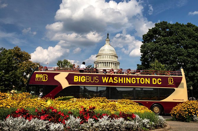Hop-on Hop-off Sightseeing Tour by Open-top Bus with 18 Stops - Price and value: what $49 buys in the real world