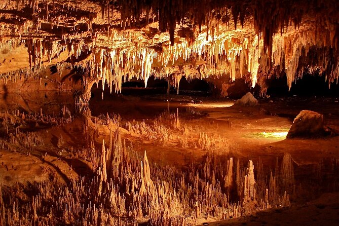 Luray Caverns and Shenandoah Small Group Max 12 Day Tour from D.C - Key Points to Know Before You Go
