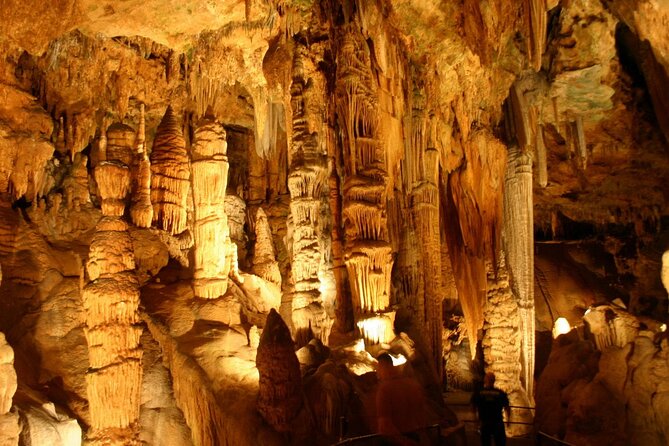 Luray Caverns and Shenandoah Small Group Max 12 Day Tour from D.C - A Smooth DC-to-Blue-Ridge Day Without the Headaches