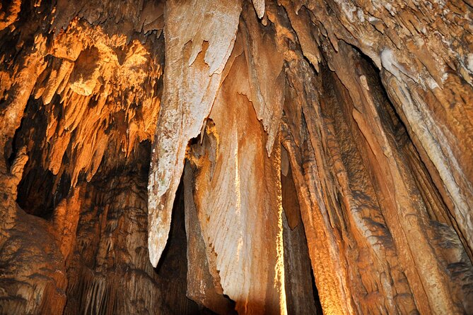 Luray Caverns and Shenandoah Small Group Max 12 Day Tour from D.C - Price and Value: $88 Makes Sense Only If You Choose the Right Option