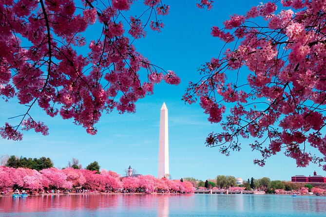 National Mall & Cherry Blossoms Tour with Optional Museum Tickets - The Memorial Stretch: WWII, Jefferson, FDR, and MLK