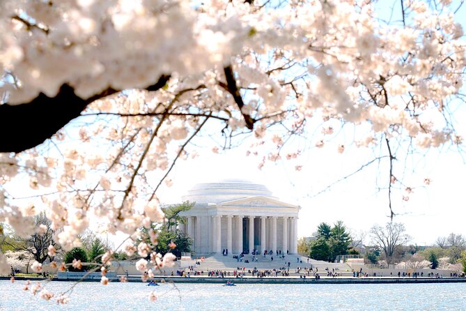 National Mall & Cherry Blossoms Tour with Optional Museum Tickets - Lincoln, Vietnam Veterans, and Korean War: The War Memorials That Leave a Mark
