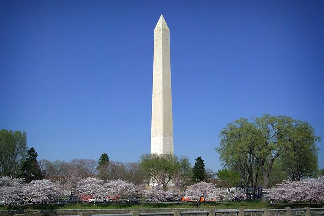 National Mall & Cherry Blossoms with Washington Monument Ticket - Key Things to Know Before You Go