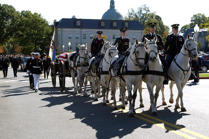 Private Mt. Vernon/Arlington Cemetery Tour for up to 10 Guests - The ride, the timing, and the “please don’t waste our day” factor
