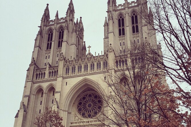 Private Multilingual DC City Tour (Spanish, Portuguese, English) - Comfort and vehicle details that make the day easier