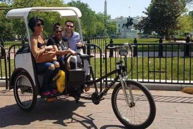 Private Pedicab Tour of DC Monuments and Memorials - Einstein and the Signers: quick, fun breaks from the solemn stuff