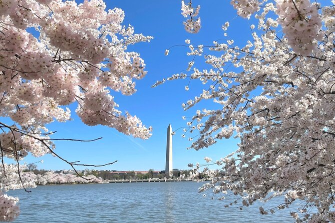 Private Washington DC City Tour | Monuments Tour - Holocaust Memorial Museum and Bureau of Engraving: Seeing It from the Road