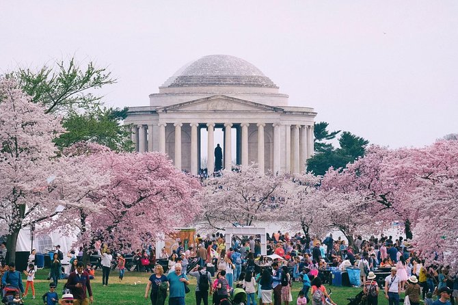 Private Washington DC City Tour - Walking time that matters: White House, MLK, Lincoln, and the Vietnam Memorial