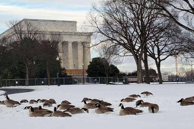 Private Washington DC Tour with Changing of the Guard Ceremony - Why This Private DC Loop Works in One 4-Hour Block