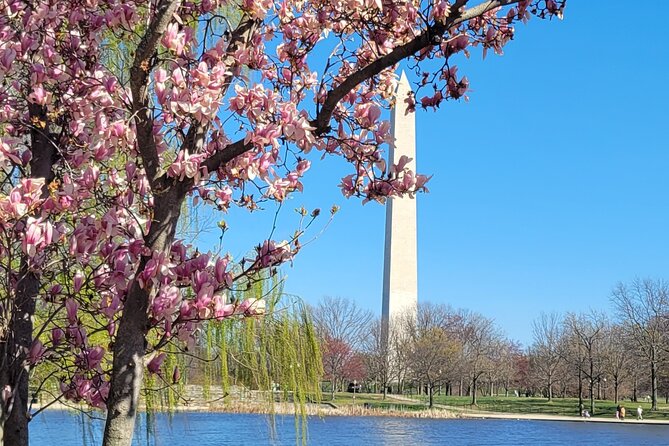 Private Washington DC Tour with Changing of the Guard Ceremony - Martin Luther King, Jr. Memorial: A Thoughtful Stop with Seasonal Rewards