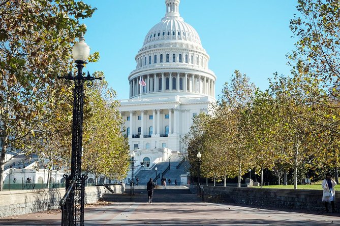 Small Group Tour of DC - Open-Top or Glass Convertible Luxury Bus - WWII Memorial, MLK, and Jefferson: where a guide changes what you see