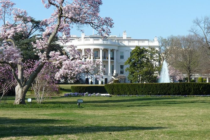 Small Group Tour of DC - Open-Top or Glass Convertible Luxury Bus - Lincoln Memorial steps and veterans memorials: the emotional payoff stretch