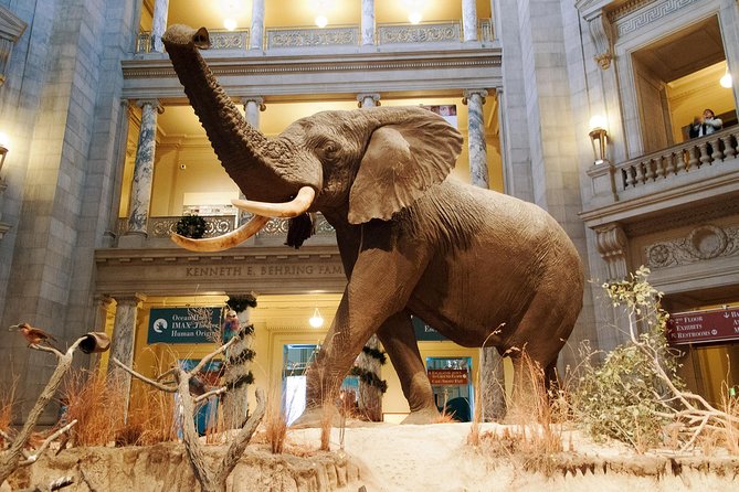 Smithsonian Museum of Natural History - Exclusive Guided Tour - Getting Oriented at 1010 Madison Dr NW (and Staying Oriented)
