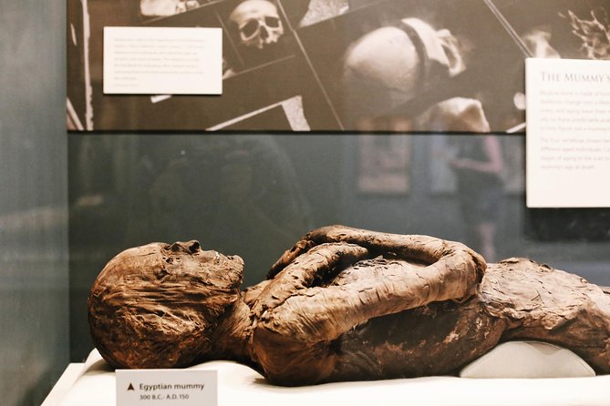 Smithsonian Museum of Natural History - Exclusive Guided Tour - Practical Tips That Will Save You Stress