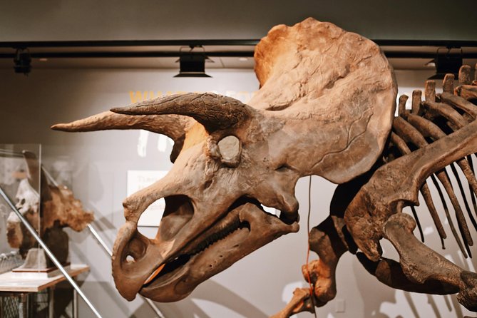 Smithsonian Museum of Natural History - Exclusive Guided Tour - Should You Book This Smithsonian Natural History Tour?