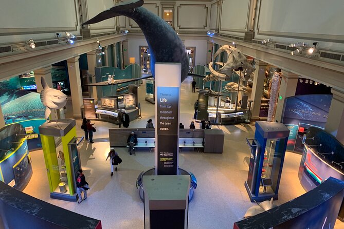 Smithsonian Museum of Natural History Guided Tour - Price and value: paying for the guide, not the building