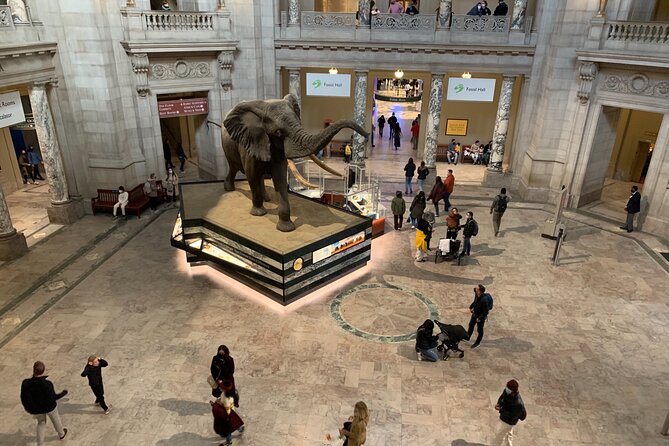 Smithsonian Museum of Natural History Guided Tour - What you get from an expert guide: story, focus, and answers
