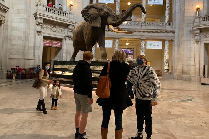 Smithsonian Museum of Natural History Guided Tour - Stop 1: the Smithsonian Natural History highlights you can actually find
