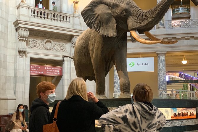 Smithsonian Museum of Natural History Guided Tour - Group size and pacing: 20 people can be great, if the guide is on it
