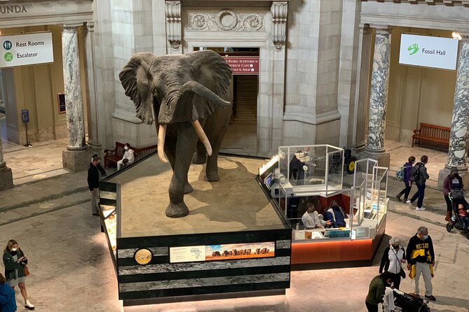 Smithsonian Museum of Natural History Guided Tour - Is it worth $75 for a museum you can visit for free?