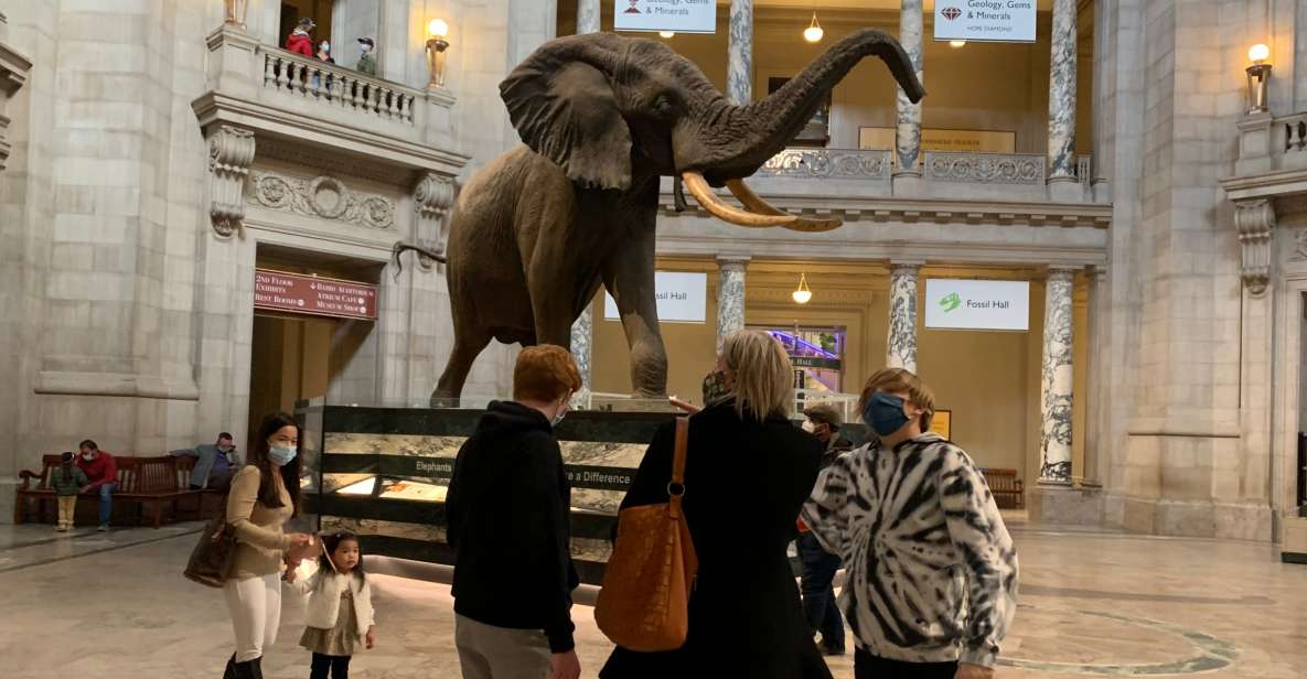 Smithsonian National Museum of Natural History Guided Tour - Key Points I’d Book For