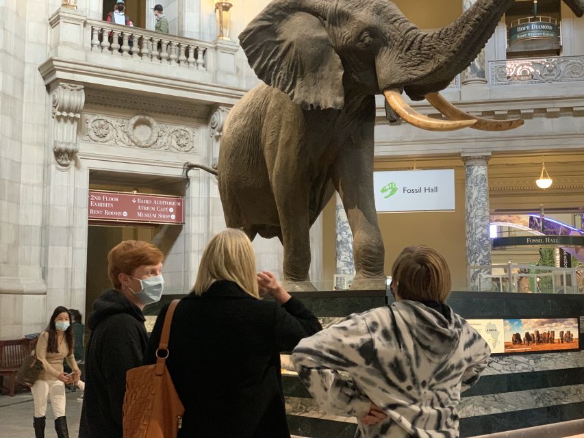 Smithsonian National Museum of Natural History Guided Tour - Pace, Hearing, and Interaction: The One Thing to Watch