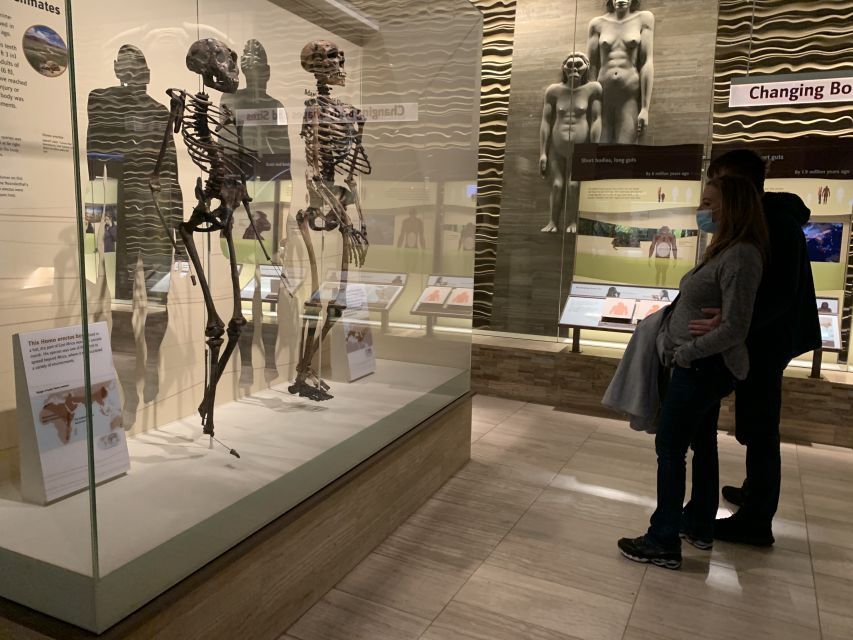 Smithsonian National Museum of Natural History Guided Tour - Smithsonian Natural History in Two Hours: What the Guide Actually Does