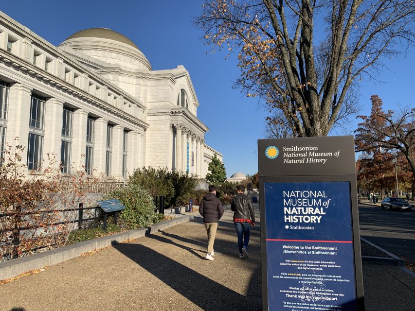 Smithsonian National Museum of Natural History Guided Tour - The 145 Million Specimens Factor: How Highlights Work