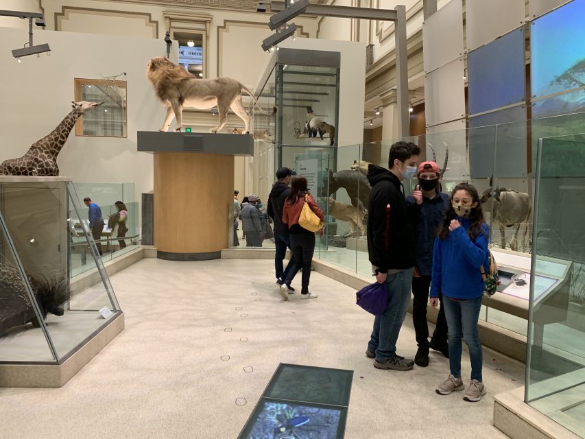 Smithsonian National Museum of Natural History Guided Tour - Dinosaurs, Gems, and Mummies: Stops You’ll Likely Want Most