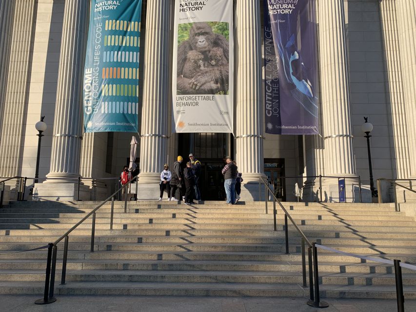 Smithsonian National Museum of Natural History Guided Tour - Human Artifacts and Early Tools: The Detail That Changes the Visit