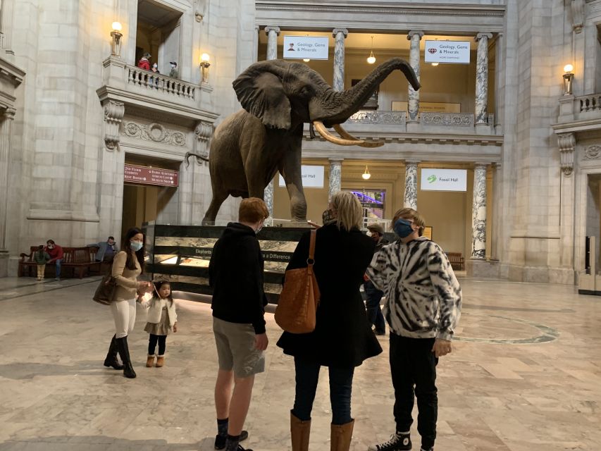 Smithsonian National Museum of Natural History Guided Tour - Interactive Educational Exhibits: When the Guide Helps (and When It Might Not)