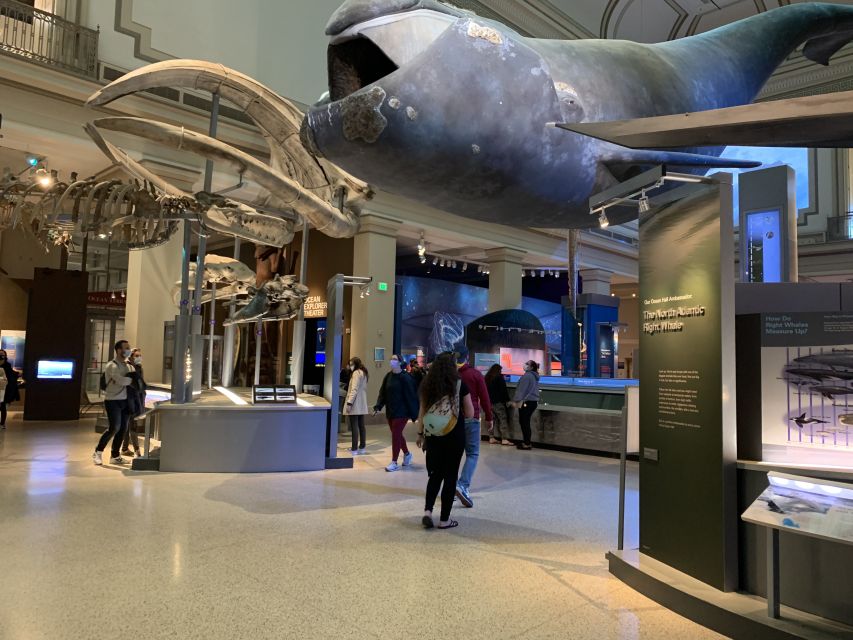 Smithsonian National Museum of Natural History Guided Tour - Price and Value: Paying $75 for a Guide, Not Entry