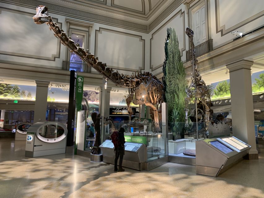 Smithsonian National Museum of Natural History Guided Tour - Guides Make the Difference: Nur, DC, and Maurice in the Mix