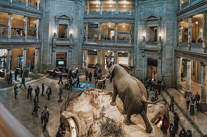 Smithsonian Natural History + Museum of American History 8ppl Max - Why This Smithsonian Combo Works for First-Timers